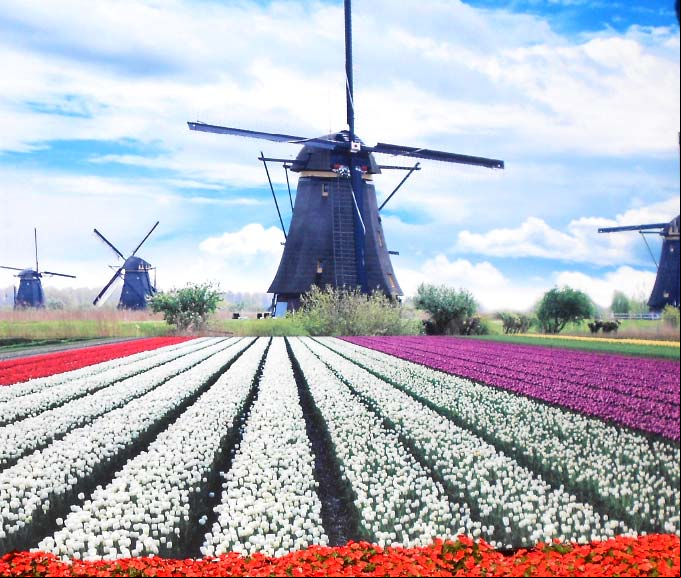 Expoflora